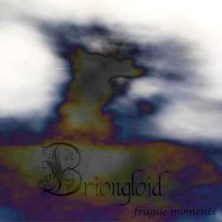 Briongloid : Fragile Moments